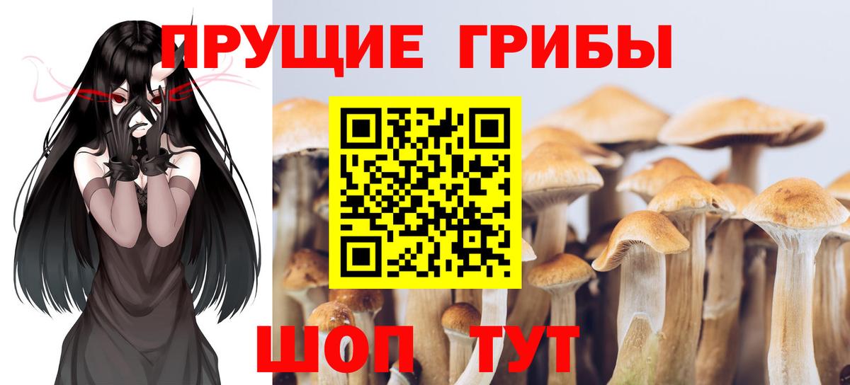 Тара  наркошоп  Вход с VPN  Псилоцибиновые грибы прущие грибы 
