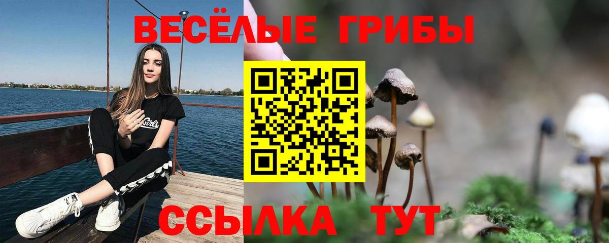 Галлюциногенные грибы ЛСД Тара
